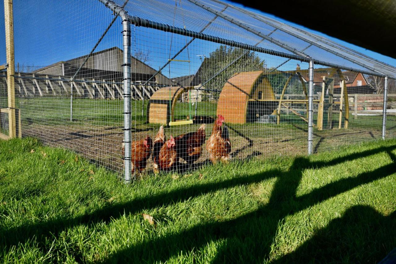 Little Upton Farm Cottagesライド エクステリア 写真