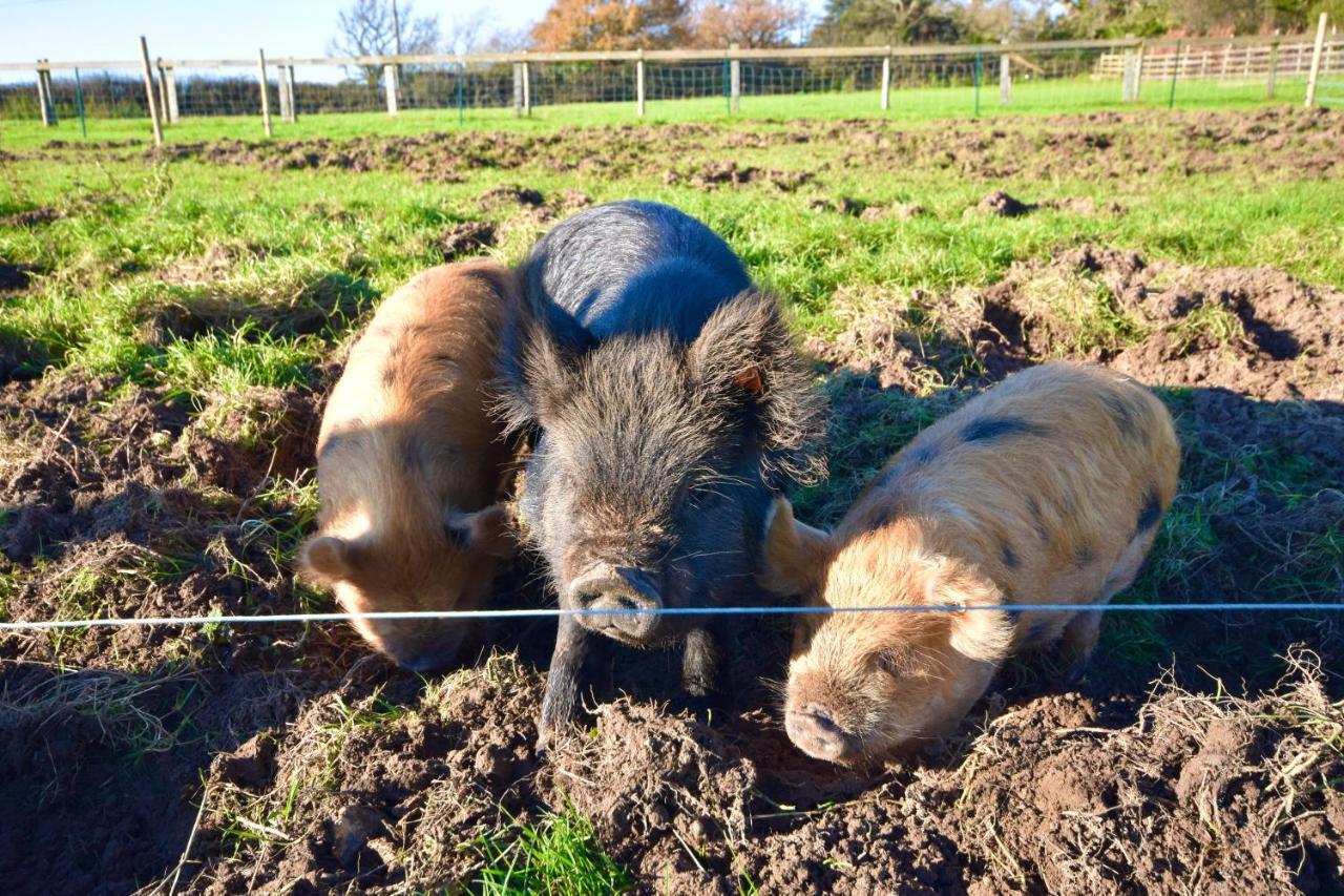 Little Upton Farm Cottagesライド エクステリア 写真