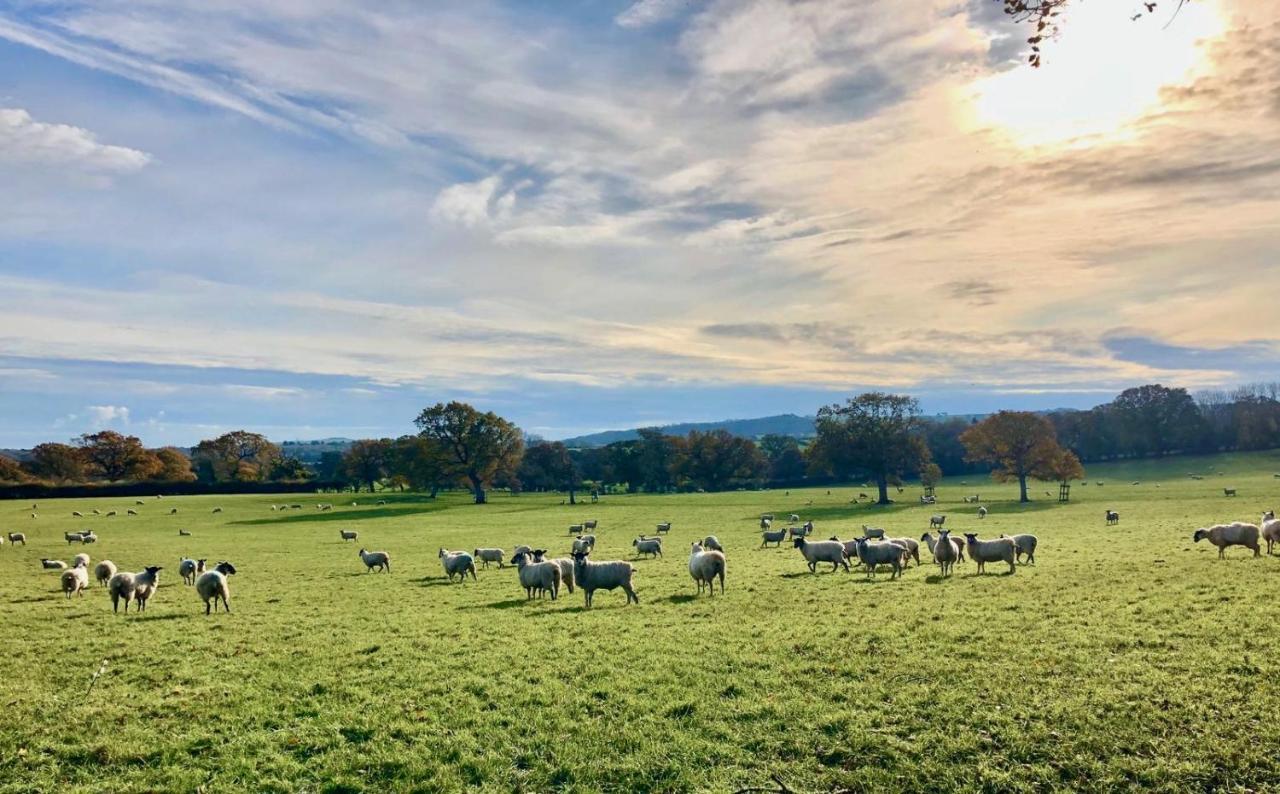 Little Upton Farm Cottagesライド エクステリア 写真